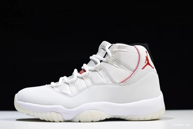 378037-016 Jordan Retro Tint 11 Platinum Air 0624